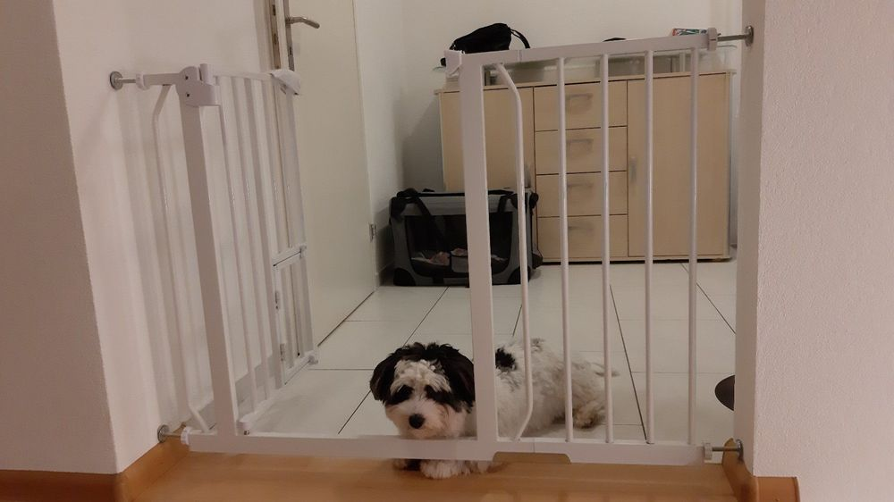 Günstiges Bitiba Geschäft 25 Günstiges Bitiba Geschäft -Günstiges Bitiba Geschäft 1719560456783