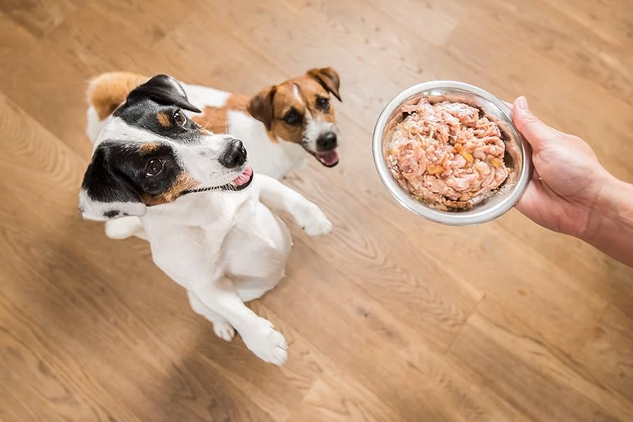 Günstiges Bitiba Geschäft -Günstiges Bitiba Geschäft 7150aozWdWL. AC UF8941000 QL80