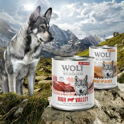Sparpaket 24 X 800 G Wolf Of Wilderness "Freiland-Fleisch" 3 Sparpaket 24 X 800 G Wolf Of Wilderness "Freiland-Fleisch" – Bild 3